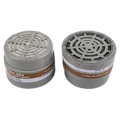Bip2 Inorganic Vapors & Acid Gases In The Presence Of Dust