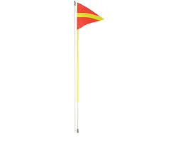 Pinnacle Buggy Whip 1 piece